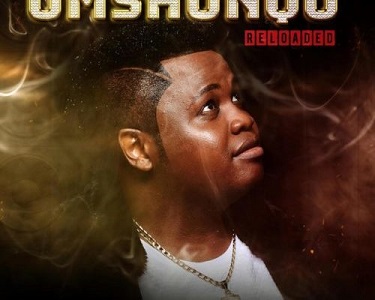Dladla Mshunqisi Owamabomu ft. DJ Lag Mp3 Download Safakaza