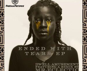 Dwell Amusement Ended With Tears EP Download Safakaza