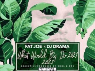 Fat Joe & DJ Drama What Would Big Do 2021 EP Download Safakaza