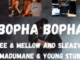 Felo Le Tee & Mellow and Sleazy Bopha Bopha ft Madumane & Young Stunna Mp3 Download Safakaza