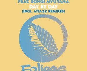 Hallex M, Bongi Mvuyana Day By Day (Atjazz Remix) Mp3 Download Safakaza