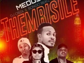 Medosky Thembisile Ft. DJ Obza, Leon Lee & Bongo Beats Mp3 Download Safakaza