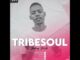 TribeSoul Missions X2 (Tech Feel)Mp3 Download Safakaza
