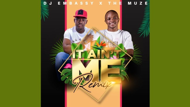 Dj Embassy X Muze It Ain’t Me (Remix) Mp3 Download Safakaza