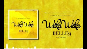 Belle 9 – WEKA WEKA