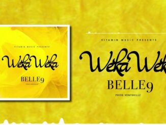 Belle 9 – WEKA WEKA