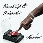 Kwiish SA – iNumber ft. Malumnator