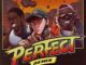 Logic ft Lil Wayne & A$AP Ferg – Perfect (Remix)