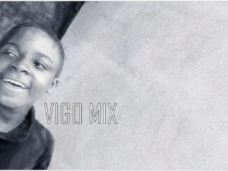 Royal – Vigo mix SA (Main Mix)