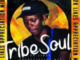 TribeSoul, Bido Vega & Nkulee 501 Badimo (Amadlozi) Mp3 Download Safakaza