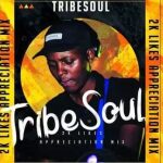 TribeSoul, Bido Vega & Nkulee 501 Badimo (Amadlozi) Mp3 Download Safakaza
