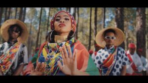 VIDEO: Zanda Zakuza – Afrika Ft. Mr Six21 DJ, Bravo De Virus & Fallo SA