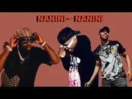 2woShort x DJ Maphorisa – Nanini Nanini Ft Felo Le Tee Leak mp3 download zamusic