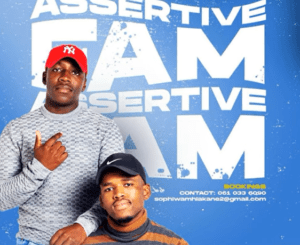 Assertive Fam Ayeye Mp3 Download Fakaza: 