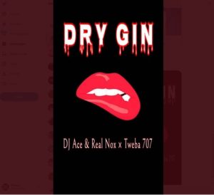 DJ Ace & Real Nox & Tweba 707 Dry Gin Mp3 Download fakaza: