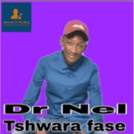 DR Nel  Tshwara Fase Mp3 Download Fakaza