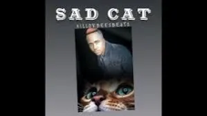 Killorbeezbeatz  Sad Cat Mp3 Download Fakaza
