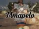 Maredi Wa Ditoro Mmapelo Mp3 Download Fakaza