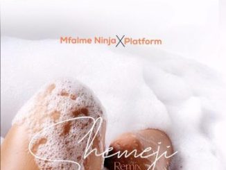 Mfalme Ninja ft Platform Shemeji Remix Mp3 Download Fakaza