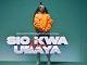 Mwana FA ft Maua Sama & Harmonize Sio Kwa Ubaya Remix Mp3 Download Fakaza: