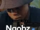 Ngobz  Rekere 30.0 (To Kabza De Small, Vigro Deep & Stakev) ft Lungile & Thatsow Mp3 Download Fakaza