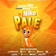 Suma Dee ft Msaga Sumu NIKO PALE Mp3 Download Fakaza: