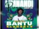 Bantu Elements Limnandi iPiano Jan Mix Mp3 Download Fakaza: