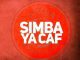 Simba P Ft Jos Mtambo NARINGA Mp3 Download Fakaza: