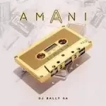 DJ Rally SA Amani Mp3 Download Fakaza