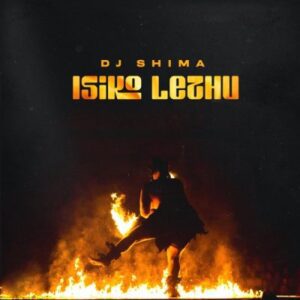 DJ Shima Intombi ft Last Button & Tshego Dee Mp3 Download Fakaza: