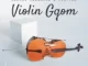 Deejay Zebra SA & Pro Tee  Violin Gqom Ep Zip Download Fakaza