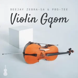 Deejay Zebra SA & Pro Tee –Don’t Be Shy (Violin Mix) Mp3 Download Fakaza: