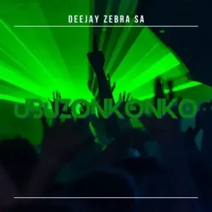 Deejay Zebra SA – SA 2 USA Mp3 Download Fakaza: