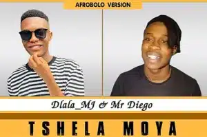 Dlala MJ  Tshela Moya Ft Mr Diego Mp3 Download Fakaza: