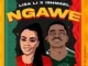 Lisa Li & Ishmael – Ngawe (Remix by Bigwae) Mp3 Download Fakaza: