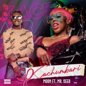 Moon S ft Mr Seed Kachumbari Mp3 Download Fakaza: