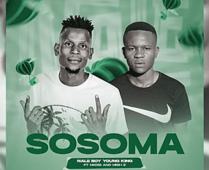 Naleboy Young King – Sosoma Ft Nkosi & DJ Mish2 Mp3 Download Fakaza: 