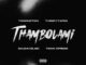 T-Man Xpress & TonicMotion – Thambolami (Saudavelgio & Theboy Tapes Remix) Mp3 Download Fakaza: