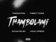 TonicMotion & Tman Xpress  Thambolami Mp3 Download Fakaza: