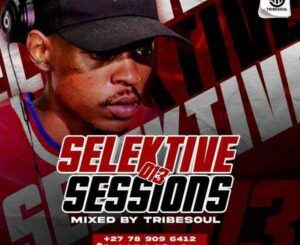 TribeSoul Selektive Sessions 013 Mix Mp3 Download Fakaza: