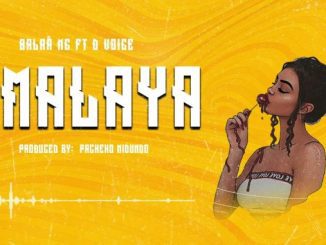 Balaa mc Ft. D voice – Umalaya Mp3 Download Fakaza: