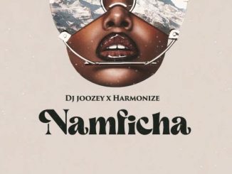 Dj Joozey X Harmonize Namficha Mp3 Download Fakaza: