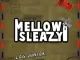 Log Junior Letter To Mellow & Sleazy Mp3 Download Fakaza: