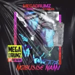 Megadrumz – Ngibusise Nami ft TeeBay RSA & DJ Anuza Mp3 Download Fakaza: Megadrumz