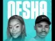 Shandesh & Nelly The Master Beat Wa Khutisa Mp3 Download Fakaza: