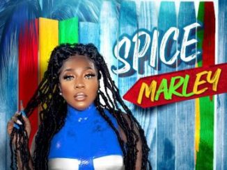 Spice Spice Marley Mp3 Download Fakaza