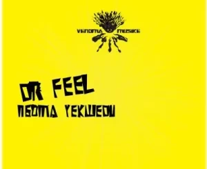 Dr Feel Ngoma Yekwedu (Original Mix) Mp3 Download Fakaza