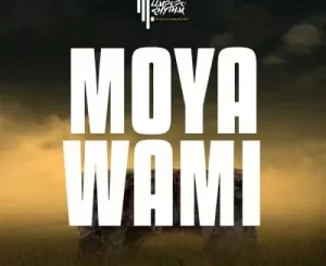 Limpopo Rhythm & Presss Moya Wami Mp3 Download Fakaza:  