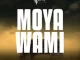 Limpopo Rhythm & Presss Moya Wami Mp3 Download Fakaza:  