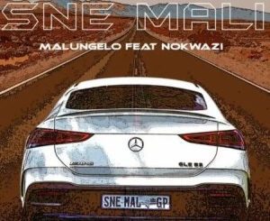 Malungelo Sne Mali ft. Nokwazi Mp3 Download Fakaza: